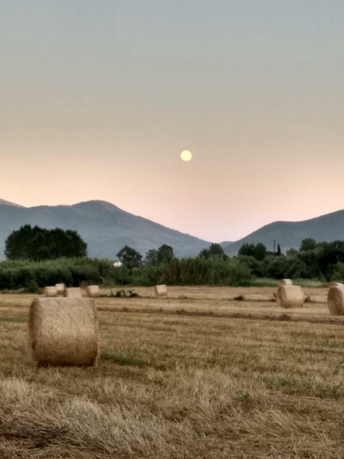 Il Giardino Delle Zagare Fondi Exterior foto